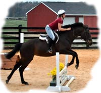 Equine insurance for Virginia horse show facilities.