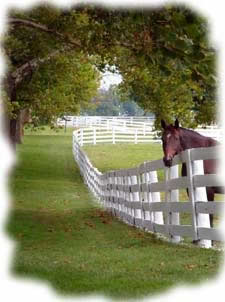 Insurance for horse farms