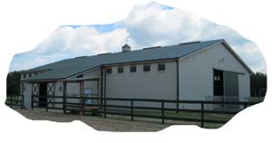 Equine Insurance for stables and boarding facilities in Virginia.